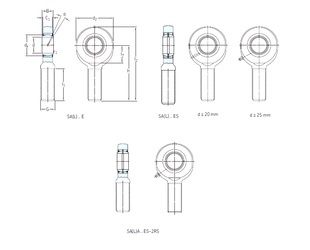 Bearing SAL80ES-2RS