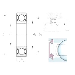 Bearing 6206-C-2BRS