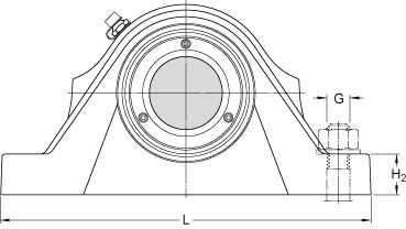 Bearing SYNT 35 LTS