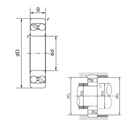 Bearing 1317