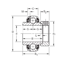 Bearing GN106KLLB