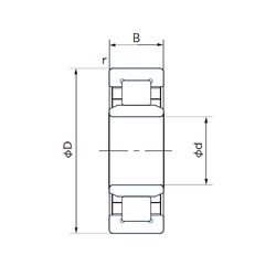 Bearing NU219TS