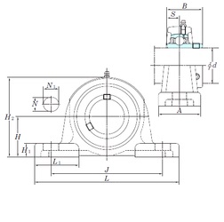 Bearing UCP313-40