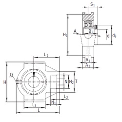 Bearing PTUE55