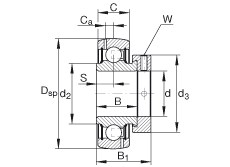 Bearing GRA207-NPP-B-AS2/V