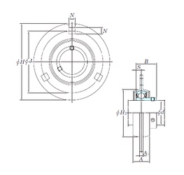 Bearing SBPF204