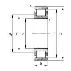 Bearing N206-E-TVP2