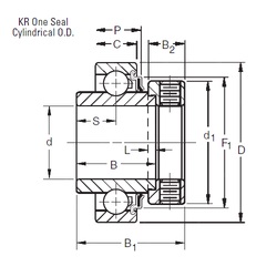 Bearing 1100KR