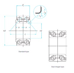 Bearing SA0031