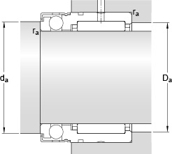 Bearing NX 25
