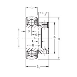 Bearing RAE45RRB