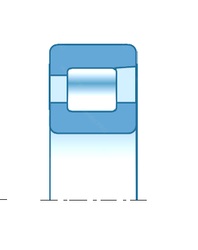 Bearing NFV19/560