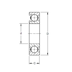 Bearing 303W