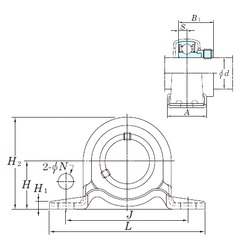 Bearing SAPP204-12