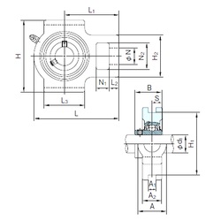 Bearing UCT317