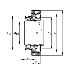 Bearing 2205-K-TVH-C3 + H305