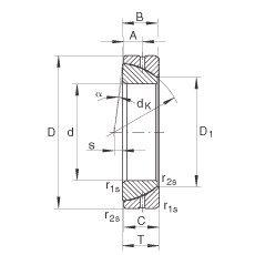 Bearing GE170-SX