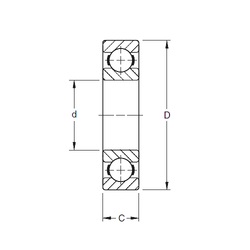 Bearing 204K