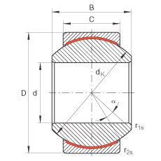 Bearing GE12-PW