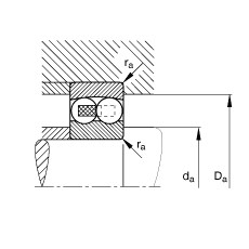 Bearing 1319-M