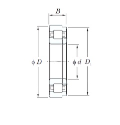 Bearing NUP2205