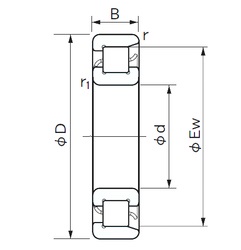 Bearing NF 1096