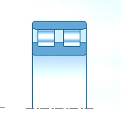 Bearing RNN4805