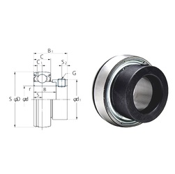 Bearing SA202F