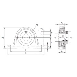 Bearing PASE45