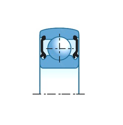 Bearing CS204LLU