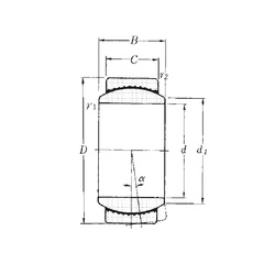Bearing SAR1-20