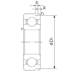 Bearing 6003N