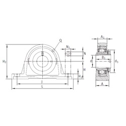 Bearing RASEA50-N