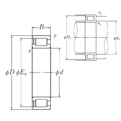 Bearing NCF1852V