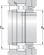 Bearing N 1020 KTNHA/SP