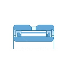 Bearing NA0-25X55X20
