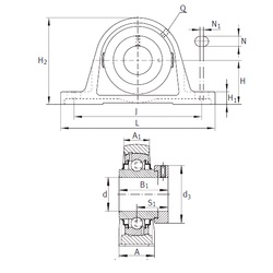 Bearing RAK1-1/4-206