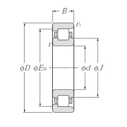 Bearing NF244