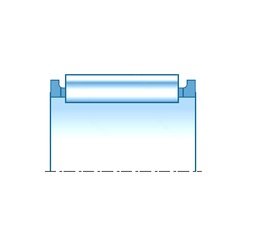 Bearing K22X26X13