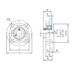 Bearing BFC205