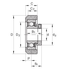 Bearing RCRB25/57-FA106