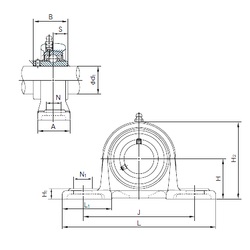 Bearing MUCP205