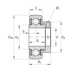 Bearing RA100-NPP-B
