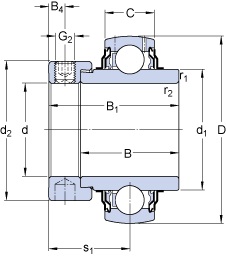 Bearing YEL 205-100-2F