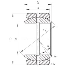 Bearing GE34-ZO