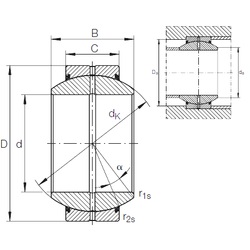 Bearing GE 15 FO-2RS
