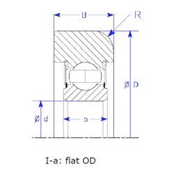 Bearing B25-166 QPSZM
