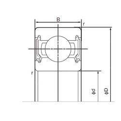 Bearing 6003-2NSE9