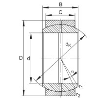 Bearing GE160-DO
