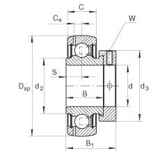 Bearing GRAE55-NPP-B